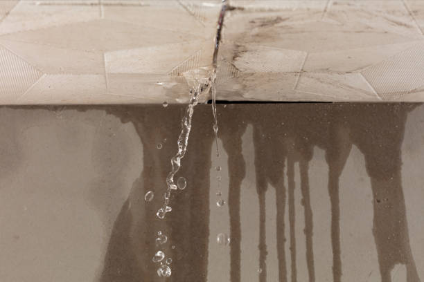 Professional Water Extraction technician working in Pearlington, MS